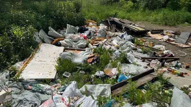 Природный парк завалили хламом в Хабаровске - Transsibinfo, 13.06.2025