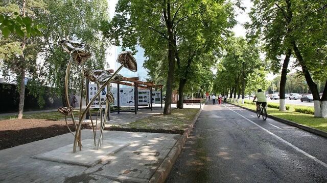 Сегодня в Уфе: африканская зараза, дискомфорт-класс и пляжный сезон - Новости Уфы и Башкирии - Медиакорсеть, 16.06.2025
