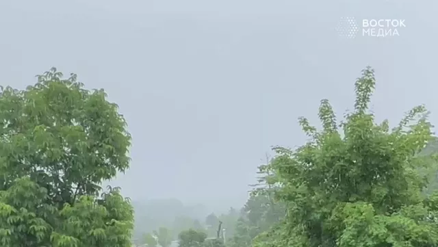 Мощный ливень обрушился на пригород Владивостока - Восток-Медиа, 17.06.2025