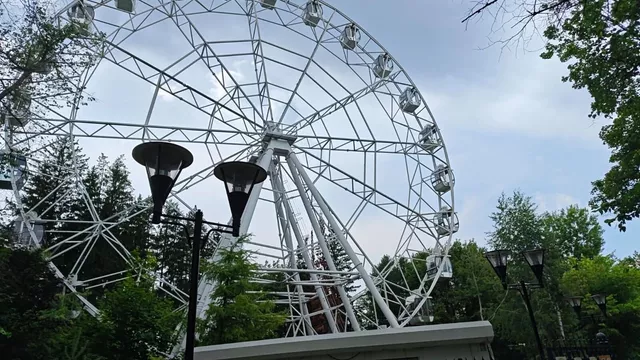 Сегодня в Уфе: падение Хабирова, птица-камикадзе и пеший квест - Новости Уфы и Башкирии - Медиакорсеть, 19.06.2025