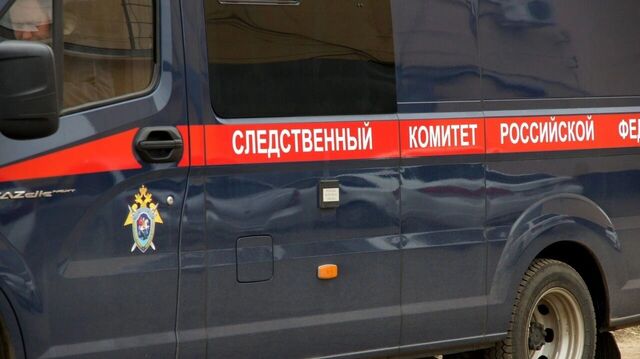 Следком возбудил уголовное дело после гибели 11-летней девочки в Ростове - RostovGazeta, 21.06.2025