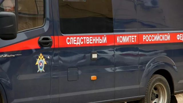 Следком возбудил уголовное дело после гибели 11-летней девочки в Ростове - RostovGazeta, 21.06.2025