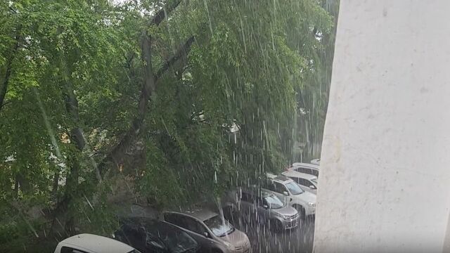Сильные дожди не справились с засухой в Приморском крае - Восток-Медиа, 01.07.2025