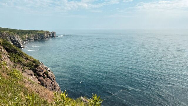 Водолазы повторно обследовали дно моря в поисках студентки из Ростова Цомартовой - RostovGazeta, 02.07.2025
