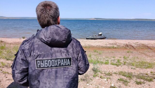 Нижегородцам напомнили о наказании за ловлю запрещенной рыбы - Новости Нижнего Новгорода и Нижегородской области - NewsNN, 04.07.2025