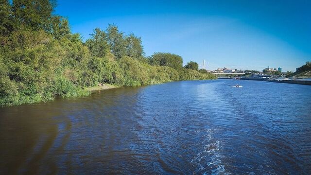 Роспотребнадзор не нашел опасных вирусов в водоемах Ростовской области - RostovGazeta, 05.07.2025