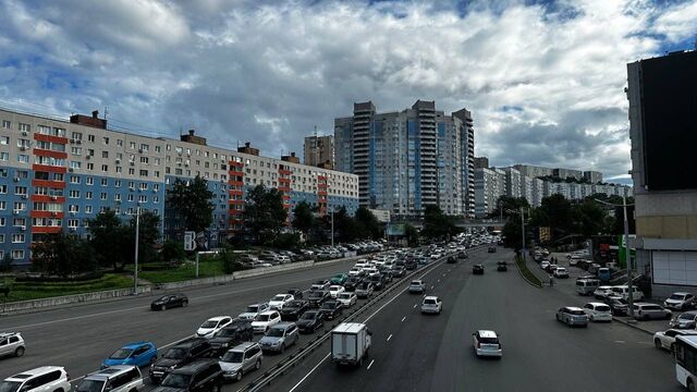 Картина дня в Приморье: гигантский мраморный улов, некроз и 7 000 новых граждан - Восток-Медиа, 08.07.2025