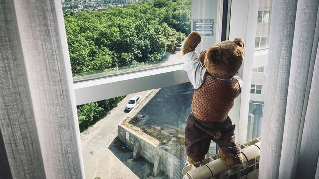 Жуткая рептилия показалась в окне больницы во Владивостоке - Восток-Медиа, 08.07.2025