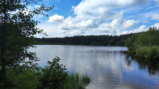 Опубликованы отзывы нижегородцев на разрешенные места для купания - Новости Нижнего Новгорода и Нижегородской области - NewsNN, 08.07.2025