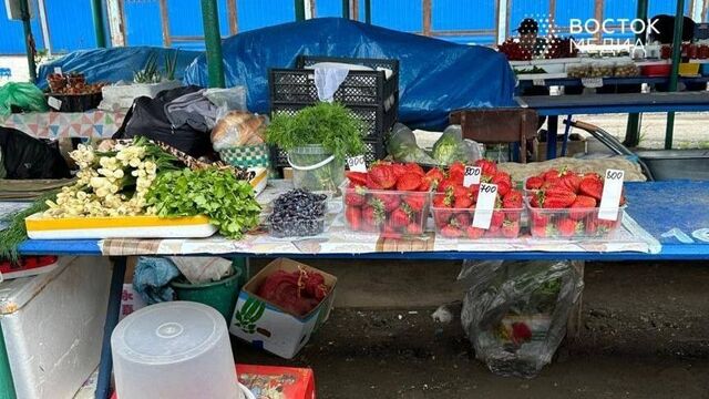 Качество первых арбузов поразило жительницу Приморского края - Восток-Медиа, 09.07.2025