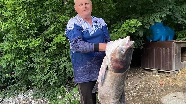Новороссийский рыбак выловил 18-килограммового толстолобика - kubanpress.ru, 09.07.2025