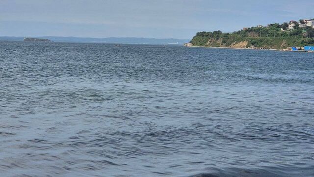 Черные водоросли и ледяная вода подпортили отдых жителям Владивостока - Восток-Медиа, 12.07.2025