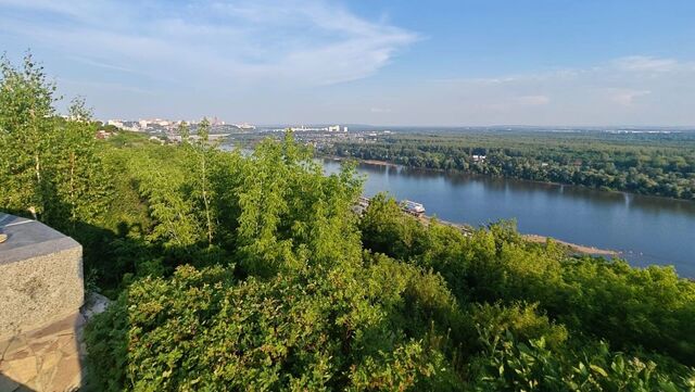 Сегодня в Уфе: баран-футболист, башкирское вино и расцветающий криминал - Новости Уфы и Башкирии - Медиакорсеть, 13.07.2025