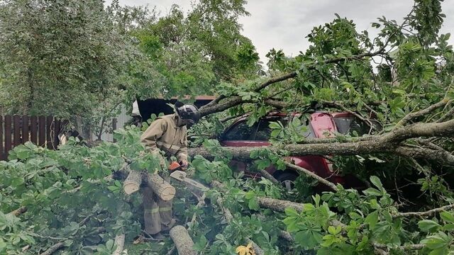 Ветер до 83 километров в час в ближайшие сутки ворвется в Ростовскую область - RostovGazeta, 23.07.2025