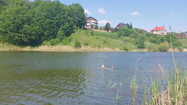 В Нижнем Новгороде безопасными для купания признали 11 водоемов - Новости Нижнего Новгорода и Нижегородской области - NewsNN, 25.07.2025