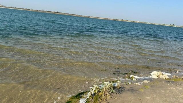 Жители Ростова и окрестностей облюбовали карьер, купаясь в нем вместо моря - RostovGazeta, 06.08.2025