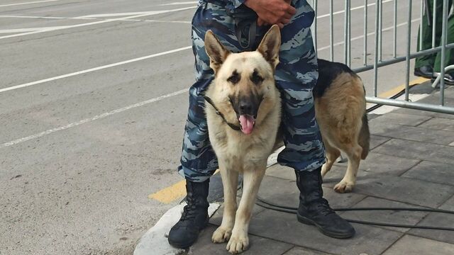 На Западном в Ростове-на-Дону эвакуировали «Вкусно и Точку» - RostovGazeta, 13.08.2025