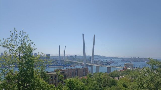 Картина дня в Приморье: перемирие врагов, грибной развод и голая амазонка - Восток-Медиа, 14.08.2025