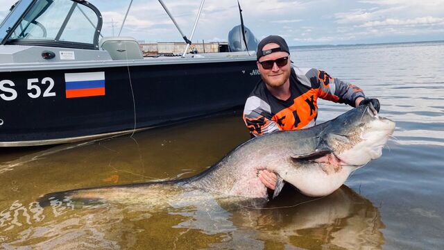 Нижегородец выловил из реки двухметрового сома весом около 100 кг - Новости Нижнего Новгорода и Нижегородской области - NewsNN, 27.08.2025