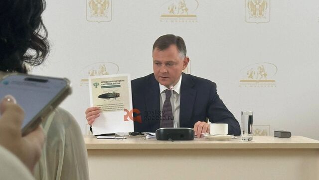 Ученые Ростовской области выводят сорт ясеня, устойчивый к опасному жуку - RostovGazeta, 29.08.2025