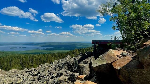 Каменные реки и родники: где находятся экотропы в Нижнем Тагиле Каменные реки и родники: где находятся экотропы в Нижнем Тагиле - Новости Нижнего Тагила и Свердловской области - TagilCity, 30.08.2025
