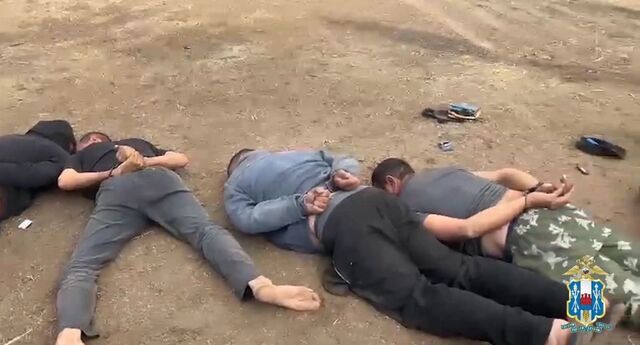 В Ростовской области поймали членов ОПГ, похищавших коров и быков у фермеров - RostovGazeta, 09.09.2025