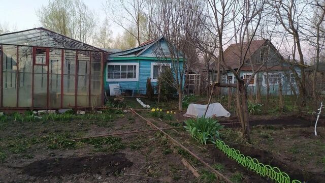 Нижегородская дачница рассказала, как спасти урожай от заморозков - Новости Нижнего Новгорода и Нижегородской области - NewsNN, 12.09.2025