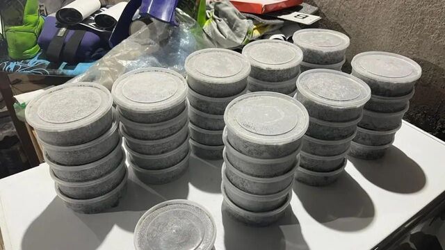 В Приморье изъята партия особо ценной рыбы на 5 млн рублей В Приморье изъята партия особо ценной рыбы на 5 млн рублей - Восток-Медиа, 27.10.2025
