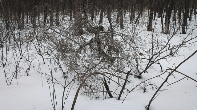 Прогноз погоды на весь ноябрь 2025 года в Ростовской области - RostovGazeta, 28.10.2025