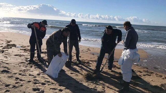 В Темрюкском районе Краснодарского края обнаружили выбросы нефтепродуктов - kubanpress.ru, 31.10.2025