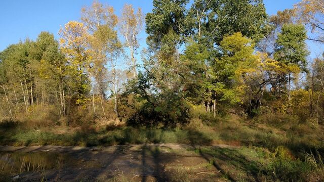 Тихое место для отдыха создают из питомника имени Лукашова в Хабаровске - Transsibinfo, 01.11.2025