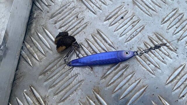 В Нижегородской области в ноябре можно поймать щуку, окуня и налима - Новости Нижнего Новгорода и Нижегородской области - NewsNN, 02.11.2025