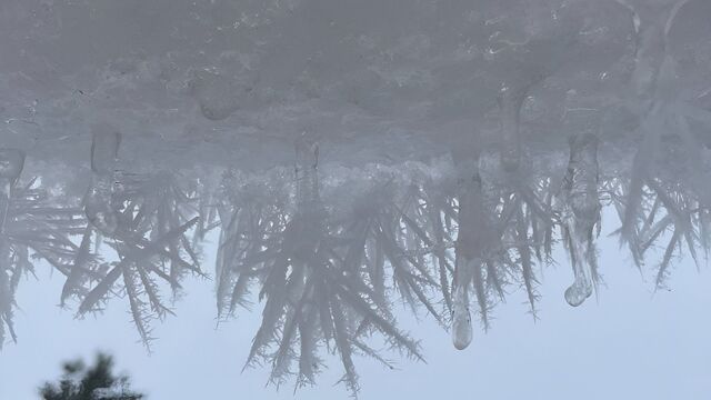 Картина дня в Приморье: реформы ЕГЭ 2026, зимний плен и южные гости - Восток-Медиа, 02.11.2025