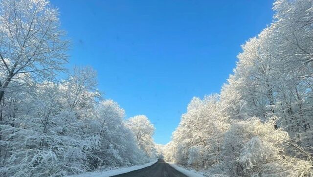 В зимнем плену после циклона: Приморье засыпало снегом — фото - Восток-Медиа, 02.11.2025