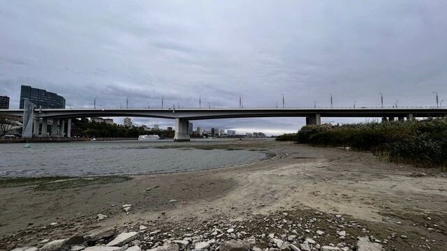 Жителей Ростовской области предупредили о понижении уровня воды в реке Дон - RostovGazeta, 03.11.2025