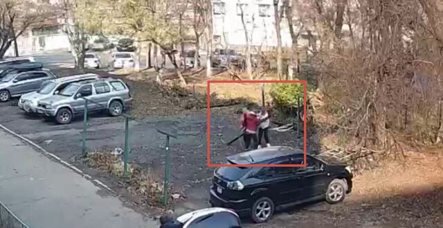 Пенсионерка напала на соседей с бревном в руках во Владивостоке — видео - Восток-Медиа, 03.11.2025