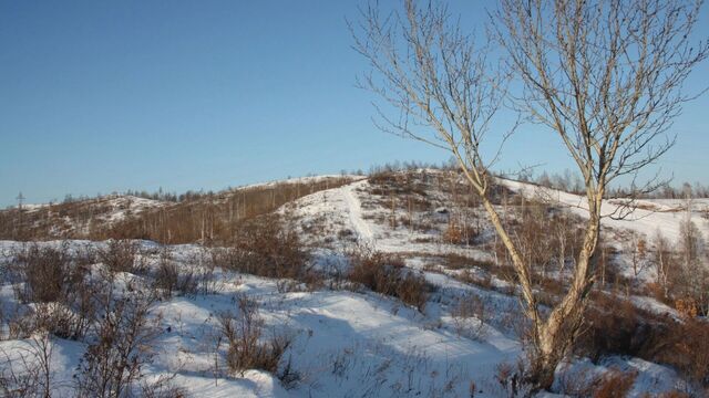 Обитатели заповедной территории в Хабаровском крае подготовились к лютой зиме - Transsibinfo, 04.11.2025