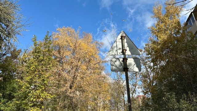 Картина дня в Приморье: красное золото, грядущий циклон и шок для кошелька - Восток-Медиа, 04.11.2025