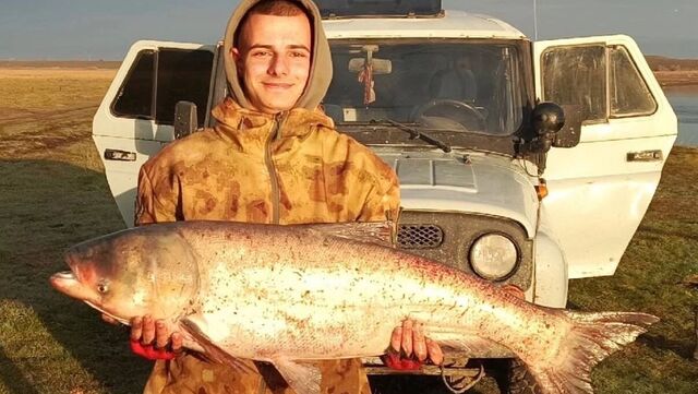 В Ростовской области рыбак поймал огромного толстолобика - RostovGazeta, 04.11.2025
