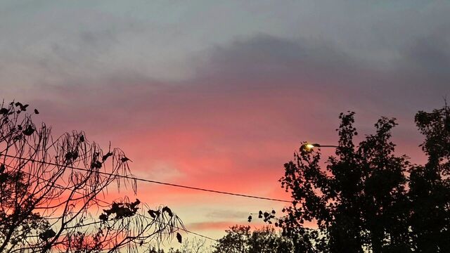 Жители Краснодара наблюдали розовое небо - kubanpress.ru, 05.11.2025