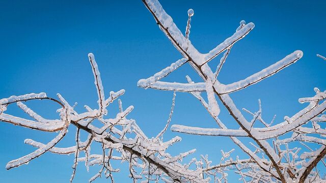 Картина дня в Приморье: ледяной дождь, редкие морские создания и тухлый эксклюзив Картина дня в Приморье: ледяной дождь, редкие морские создания и тухлый эксклюзив - Восток-Медиа, 06.11.2025