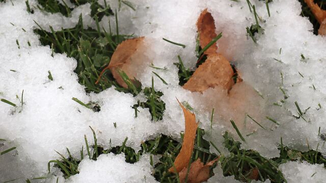 Где снег, а где солнце: погода в Приморье играет контрастами — видео - Восток-Медиа, 06.11.2025