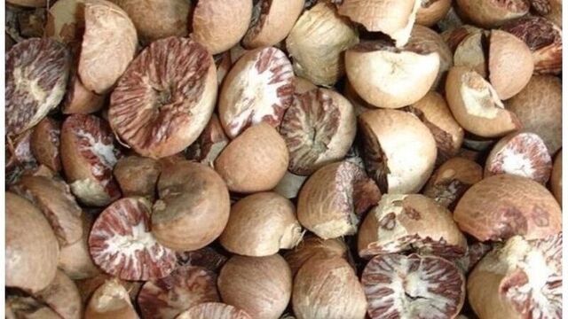 Роспотребнадзор будет бороться с продажей бетельного ореха на маркетплейсах - Новости Нижнего Тагила и Свердловской области - TagilCity, 07.11.2025