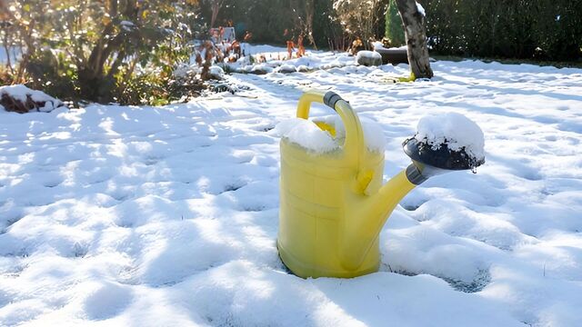 Неотложные дела появились у дачников в Хабаровске - Transsibinfo, 08.11.2025