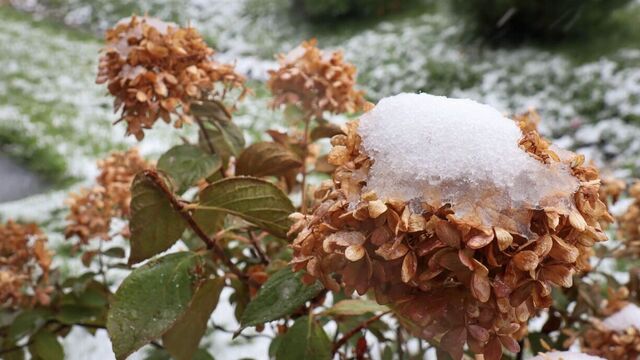 Ночь теплее дня и снег с дождем ждут на выходных в Челябинске Ночь теплее дня и снег с дождем ждут на выходных в Челябинске - Новости Челябинска и Челябинской области - Курс Дела, 08.11.2025