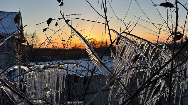 Красота в ледяных оковах: циклон превратил Приморье в сказку — фото - Восток-Медиа, 09.11.2025