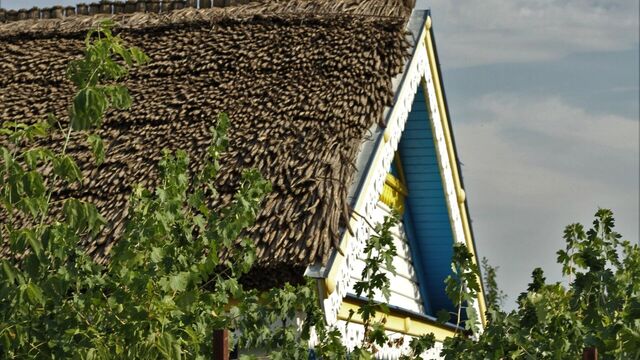 Названы вымирающие хутора Ростовской области с критически малым числом жителей Названы вымирающие хутора Ростовской области с критически малым числом жителей - RostovGazeta, 09.11.2025