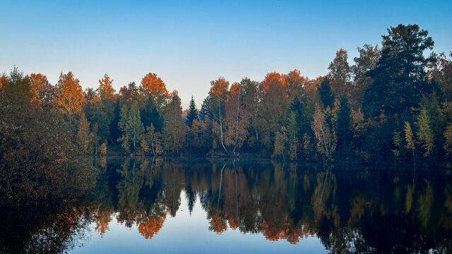 Холод уходит? Синоптики объявили теплую передышку в Приморье - Восток-Медиа, 10.11.2025