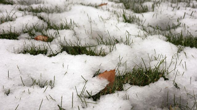 От снега к теплу: погода держит в тонусе жителей Приморья — прогноз на неделю От снега к теплу: погода держит в тонусе жителей Приморья — прогноз на неделю - Восток-Медиа, 10.11.2025