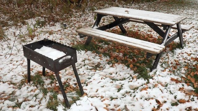 В Ростове-на-Дону обещают самую теплую зиму за 30 лет - RostovGazeta, 14.11.2025